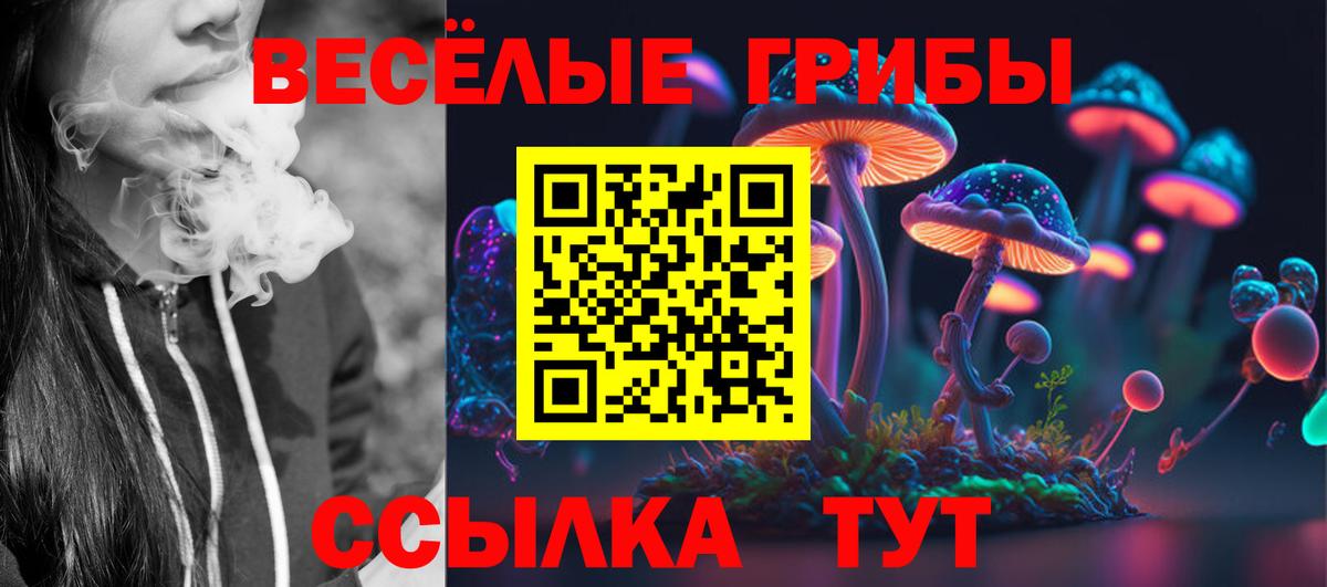 купить закладку  Галлюциногенные грибы Psilocybe  Вход с VPN  Псилоцибиновые грибы GOLDEN TEACHER  Армавир 