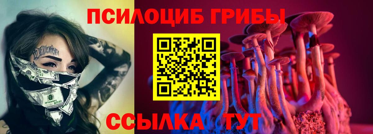 Галлюциногенные грибы мицелий Армавир