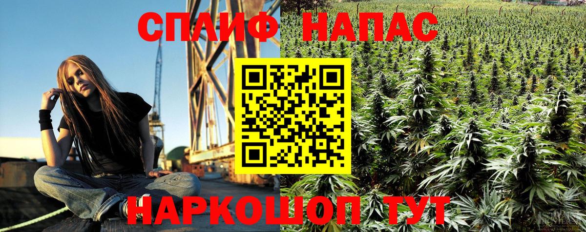 МАРИХУАНА AK-47  Бошки Шишки конопля  МАРИХУАНА сатива  МАРИХУАНА Amnesia  Армавир  Вход с VPN 